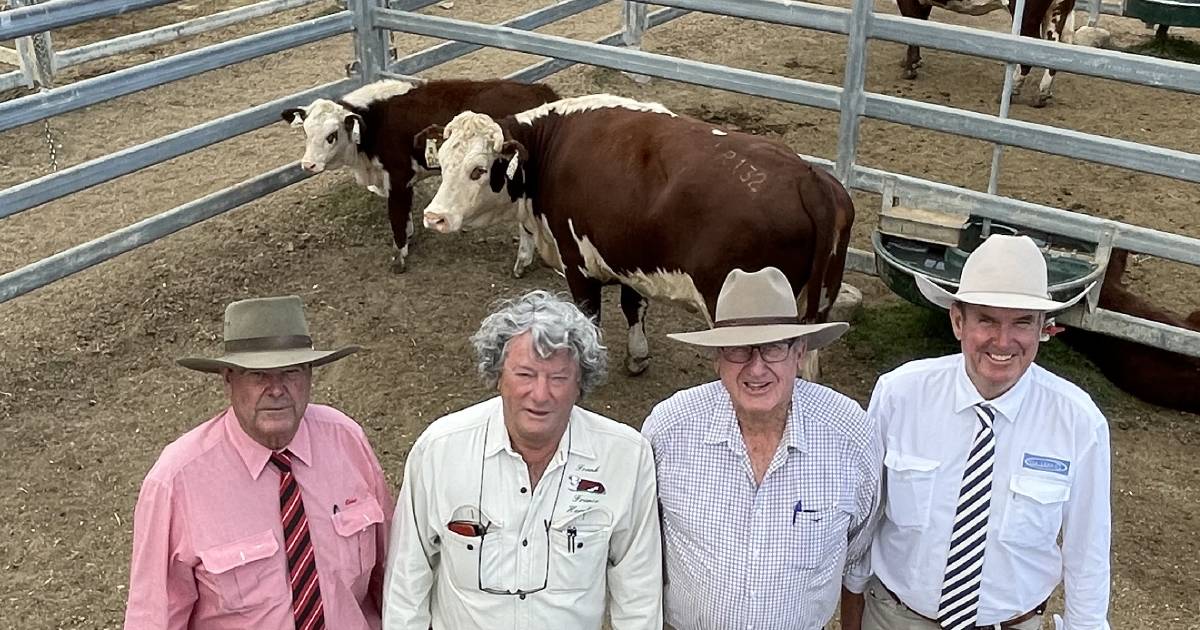 Franco Herefords to $20,000