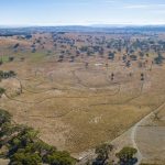 Potassium levels are low in soils across the state, and farmers are urged to test their soils | Farm Weekly