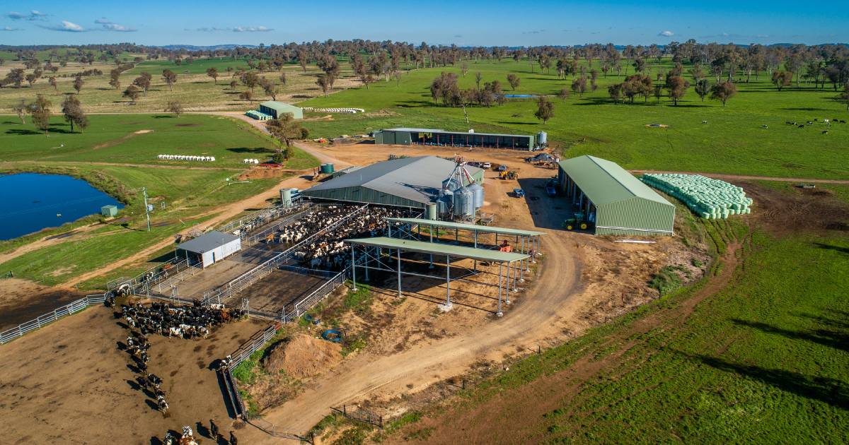 One of Australia's top dairy farms for sale walk-in walk-out