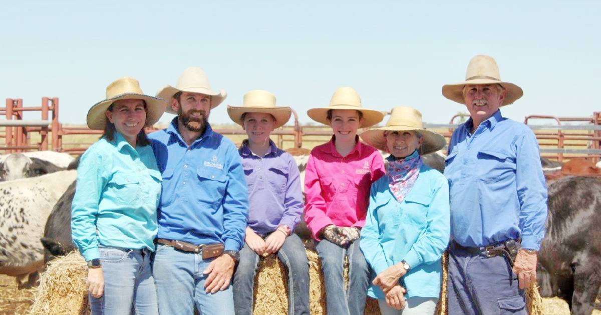 Speckle Park cross paying off for Winton's Birchmore beef operation