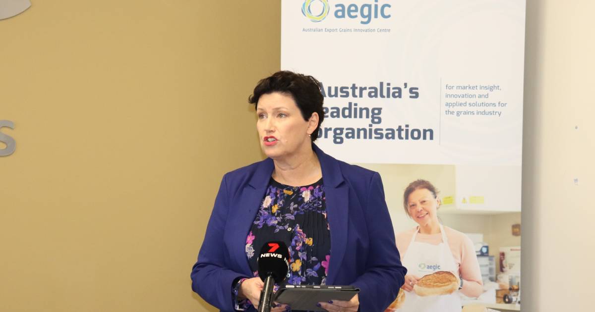 Jackie Jarvis disappointed by “less than ideal” communication on live export panel sessions | Farm Weekly