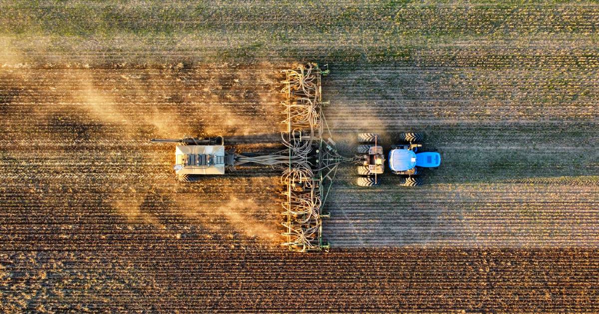 GIWA’s crop report estimates up to two-thirds of intended canola has been planted in medium to low rainfall regions | Farm Weekly