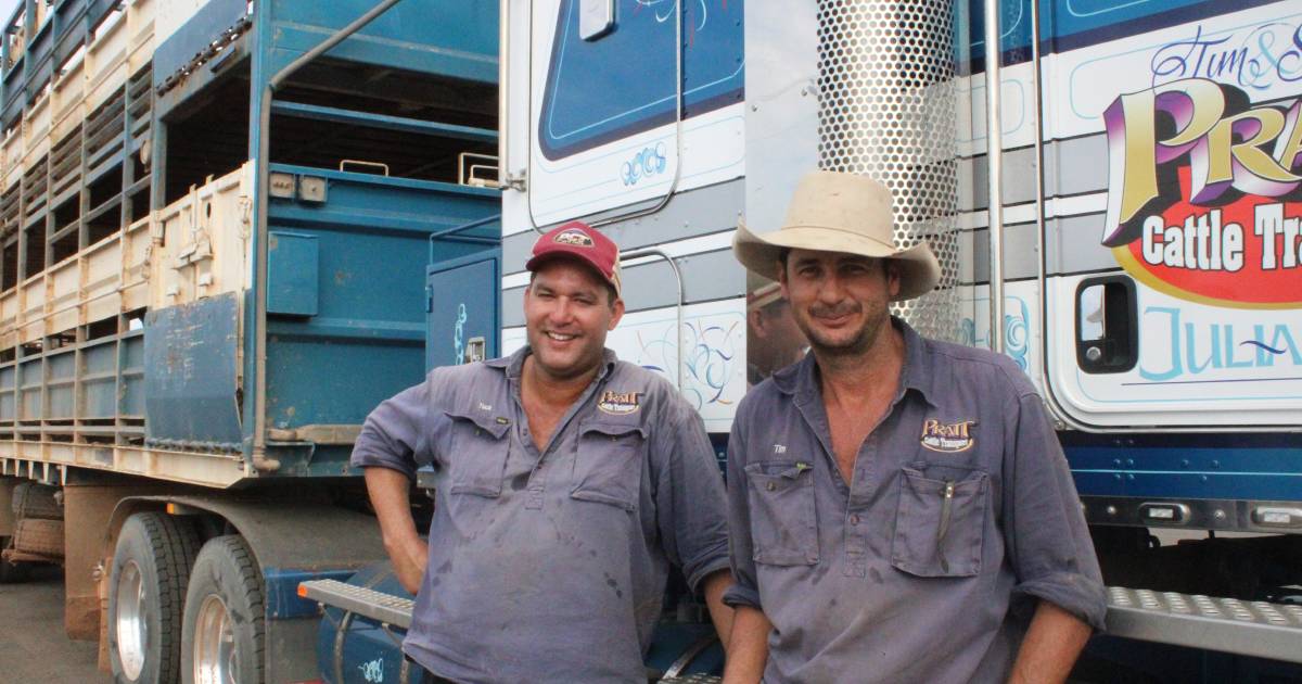 Cattle starting to move from north west Queensland