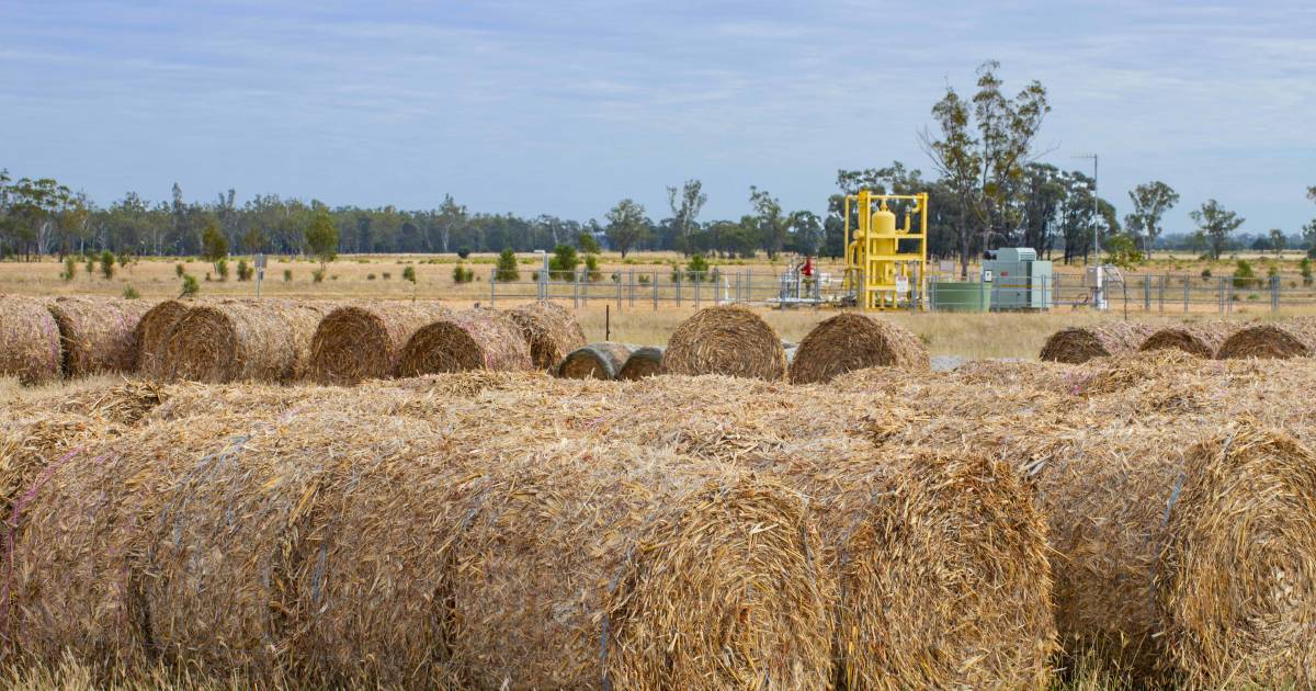 CSIRO says more research is needed into the impact of CSG on human health