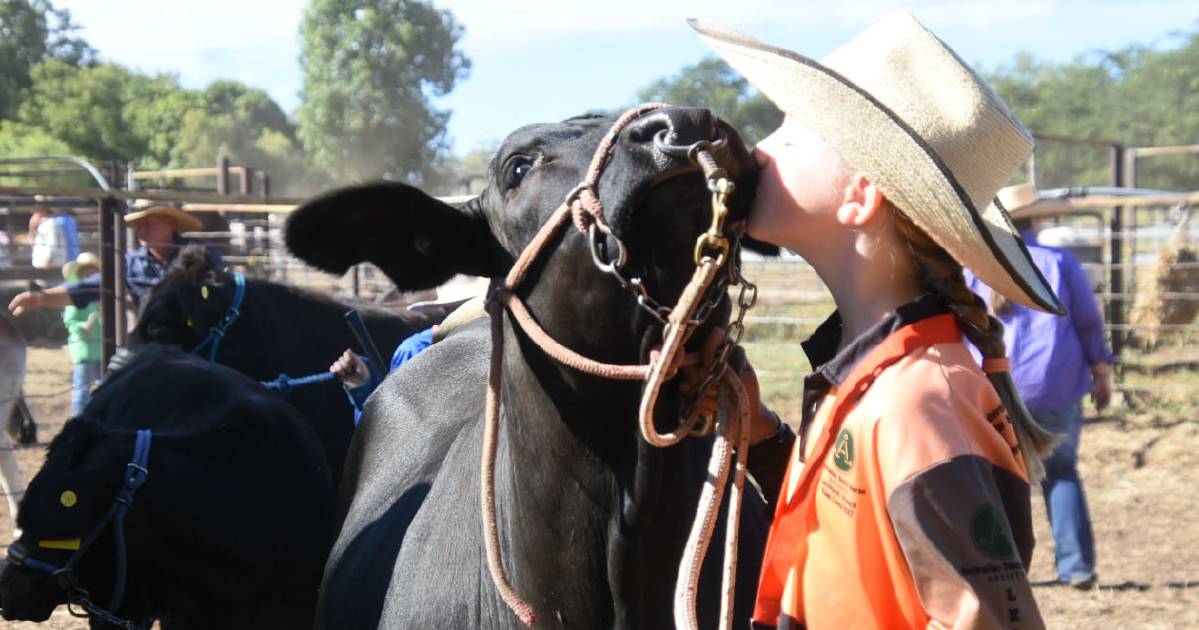 Springsure Cattle Camp celebrates 10 years with record attendance | Photos