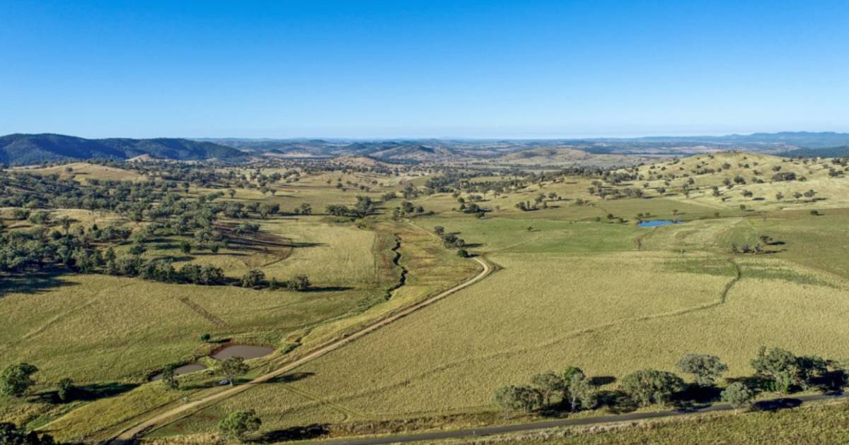 Central western slopes country with versatility | The Land