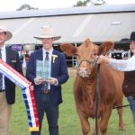 Crows Nest's Elly Close sashed Darling Downs Showgirl