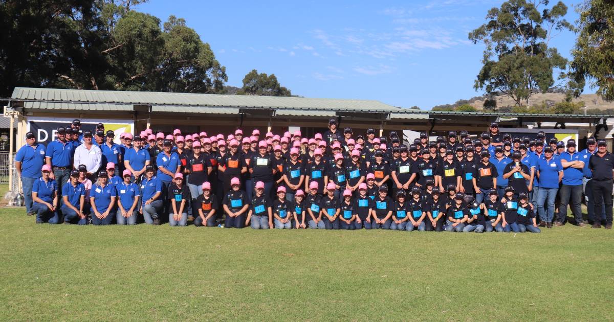 Delta Ag WA Youth Cattle Handlers Camp held at Brunswick Showgrounds | Farm Weekly