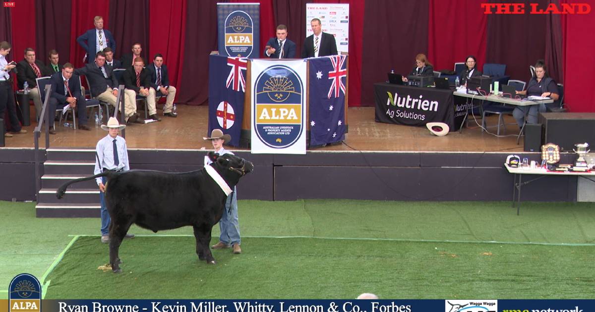 Watch our livestream of the Young Auctioneers Competition at Sydney Royal