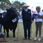 Tom Culley junior awarded to Conrayn ewe