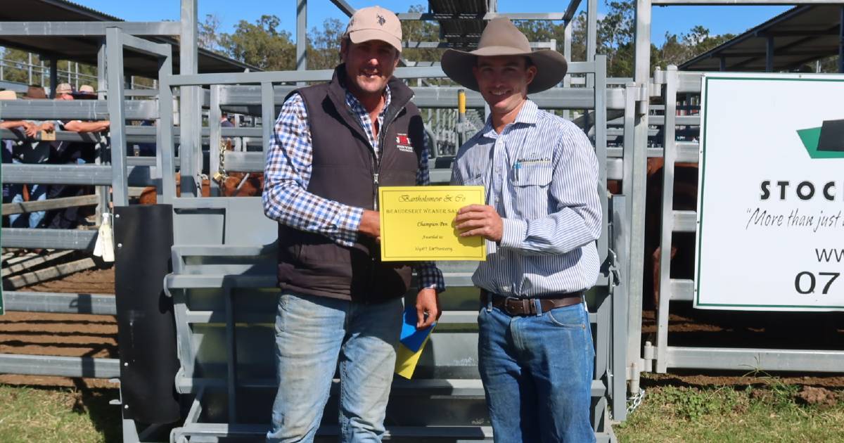 Strong buyer competition at $2000 for steers at Beaudesert | Queensland Country Life