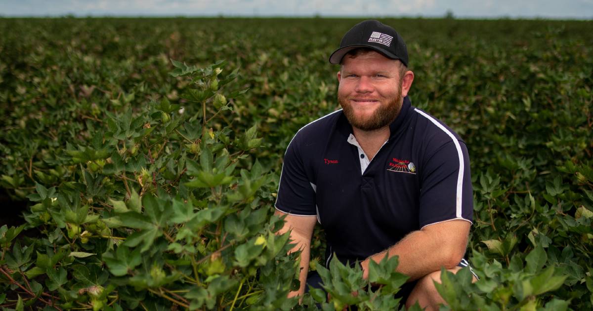 XtendFlex cotton shaping up to be a winner | Queensland Country Life