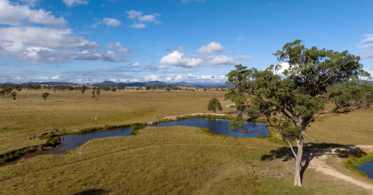 Grazing country sold after auction