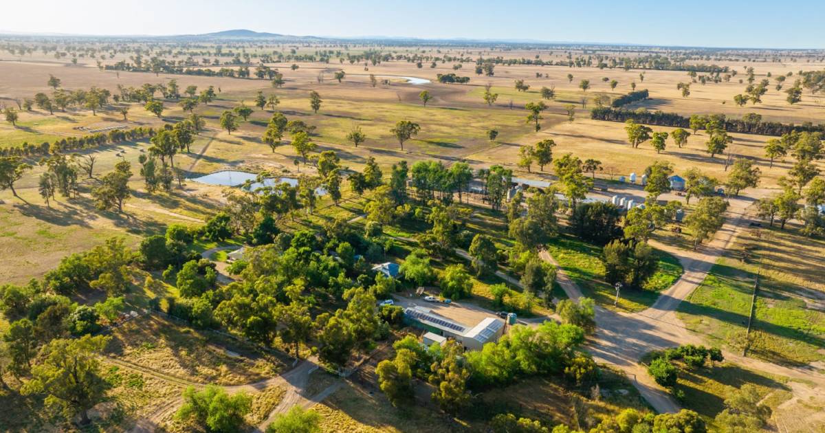 Macneil's big Riverina farm portfolio has been sold