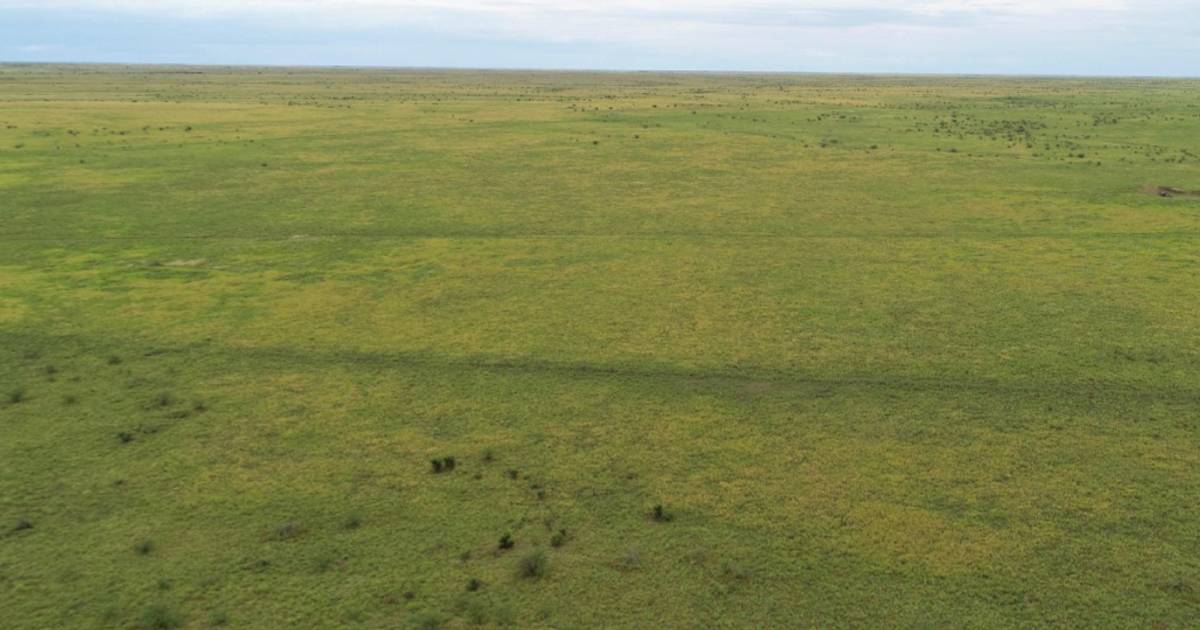 Offers of about $250/acre sought for destocked cattle property