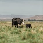 Commodity prices, interest rate concerns cloud farmer sentiment