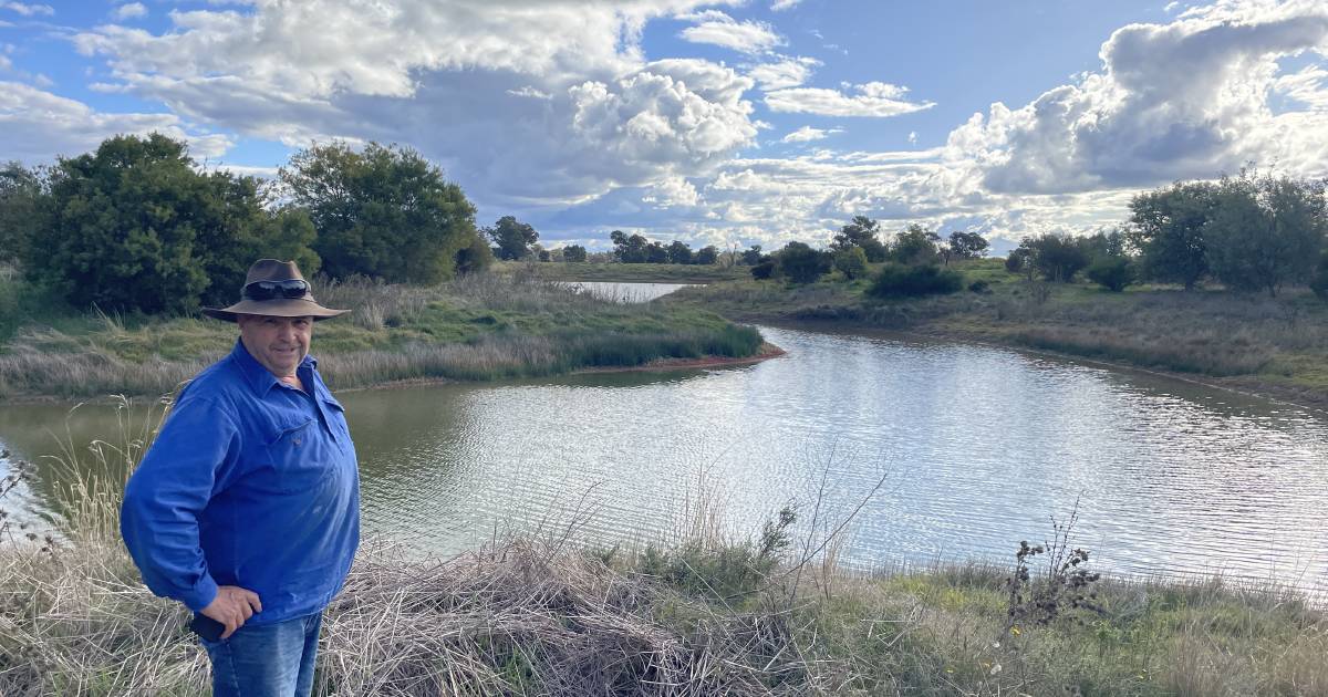 Paddock trees and dams at Bethungra| Photos | The Land