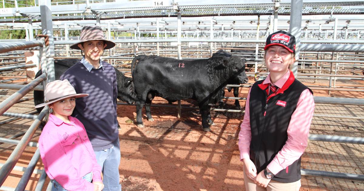 Gandy Angus thrice sells to $17,000 | Farm Weekly