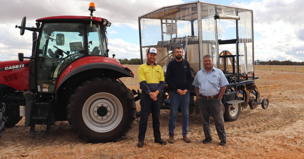 Seeding trials put varieties to the test