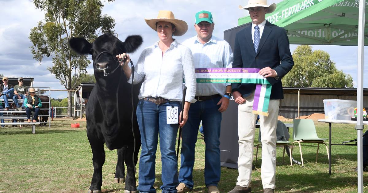 Bos Taurus breeds come out on top at the Roma show