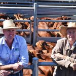 Angus Australia conference kicks off in Tamworth + photos