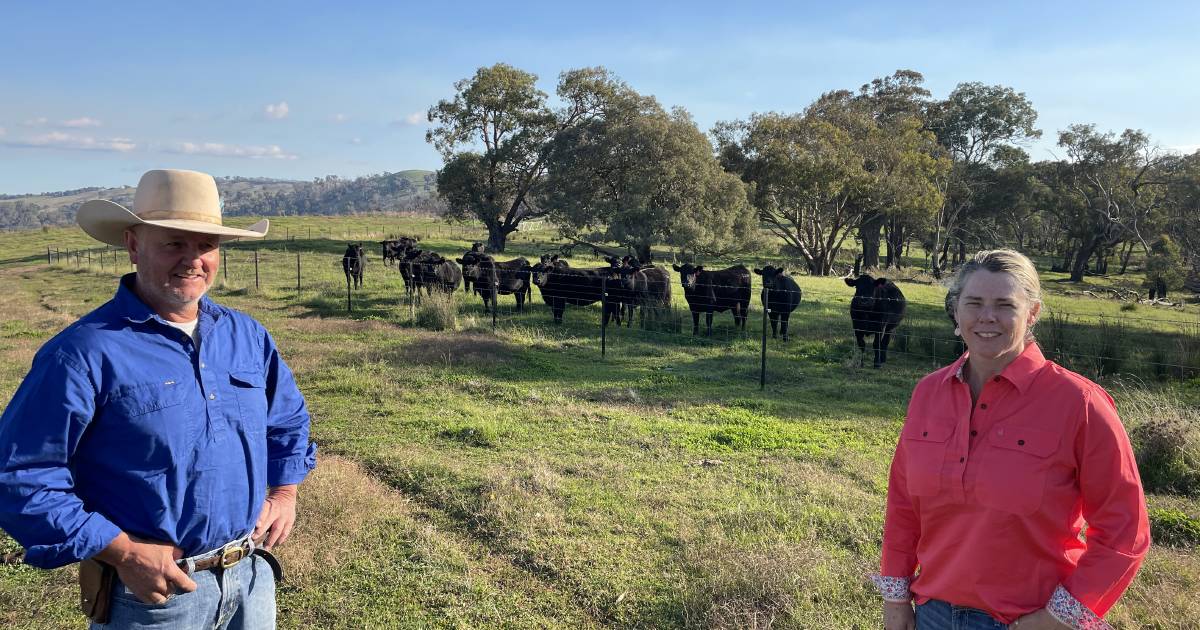 Angus success at Adelong