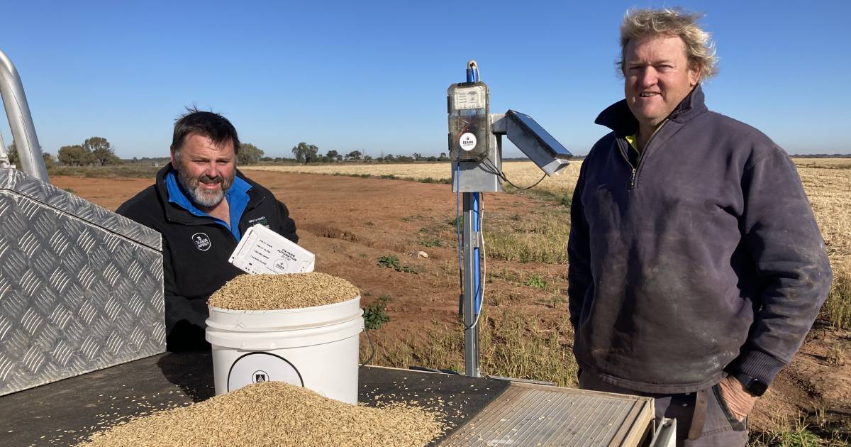 Low-cost automated irrigation tech could save water, time and money for farmers