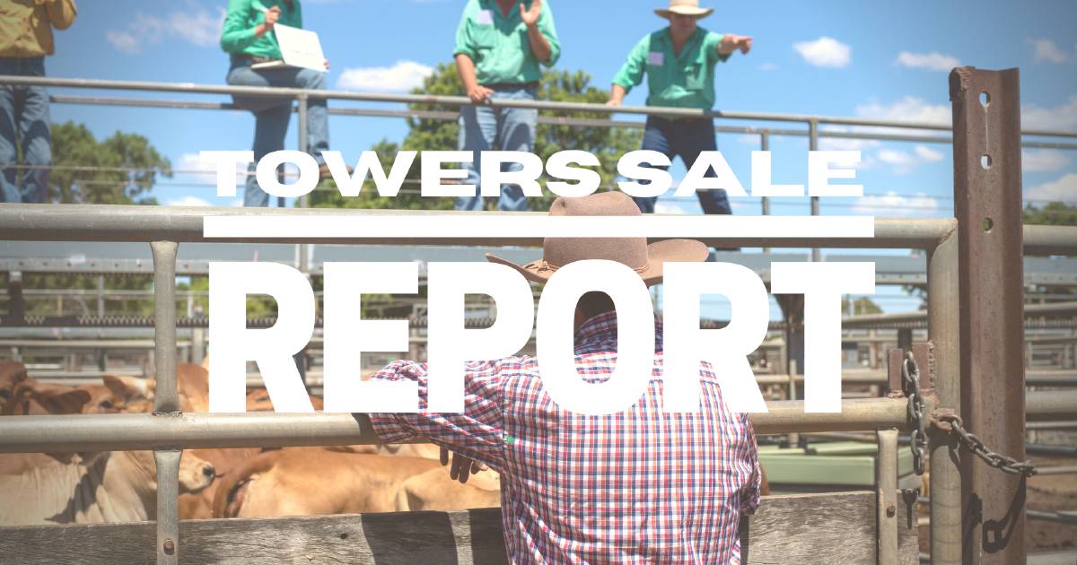 Strong competition at Charters Towers store sale