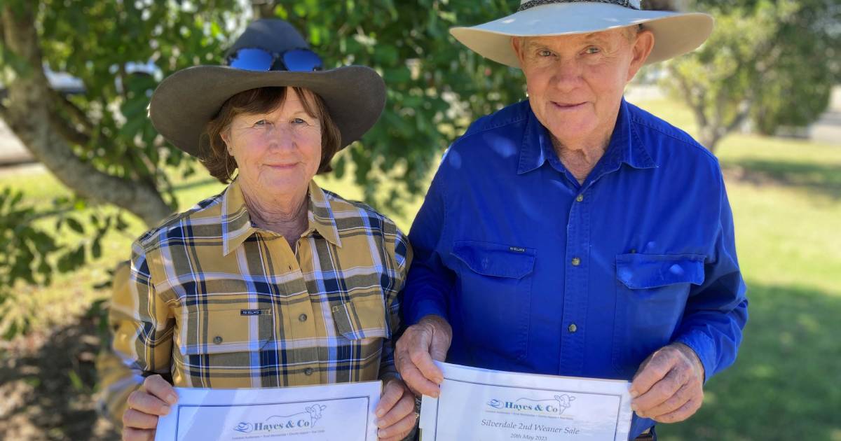 Brangus steers win at Silverdale weaner sale