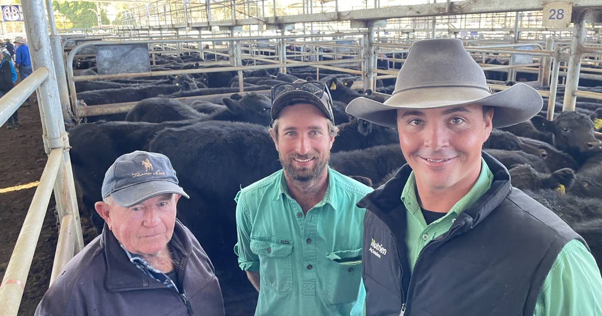 Angus steers top at $1525 | The Land