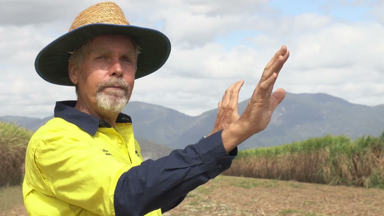 Improving soil to increase sugarcane yield