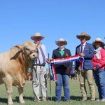 Georgina River closed to campers at Camooweal