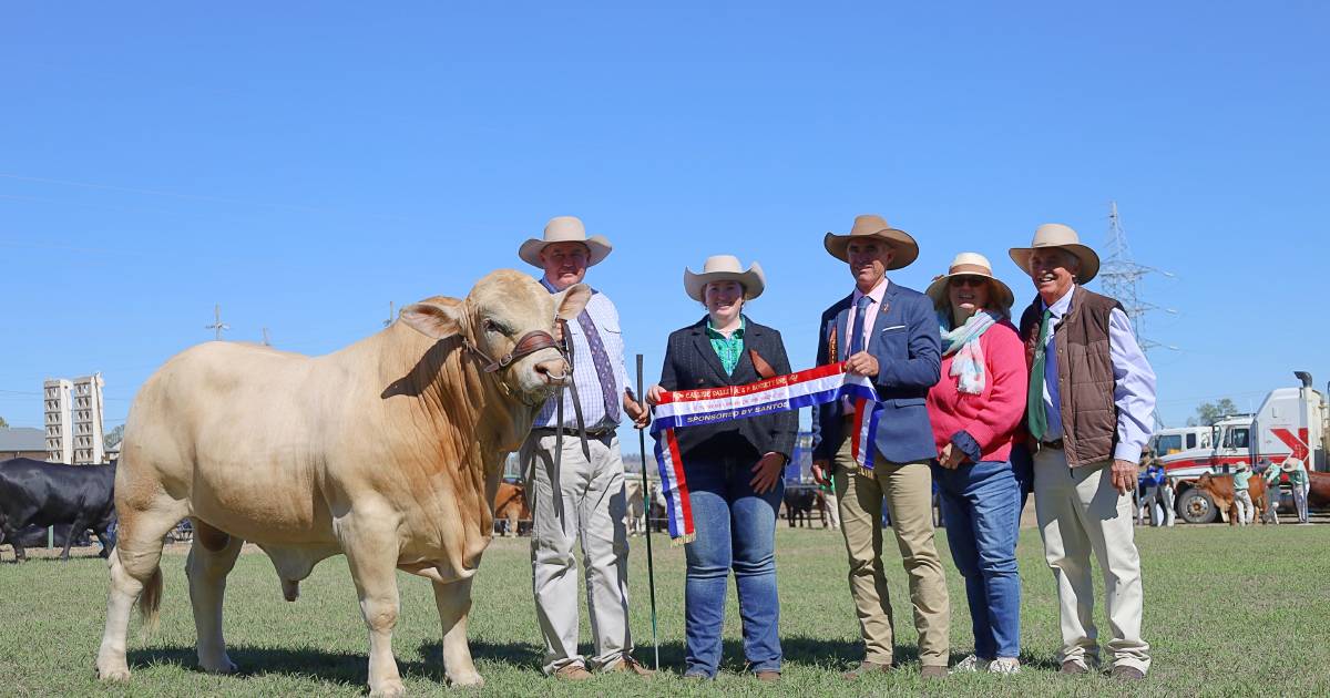 Around the ring: Callide Valley, Comet and Biggenden | Queensland Country Life