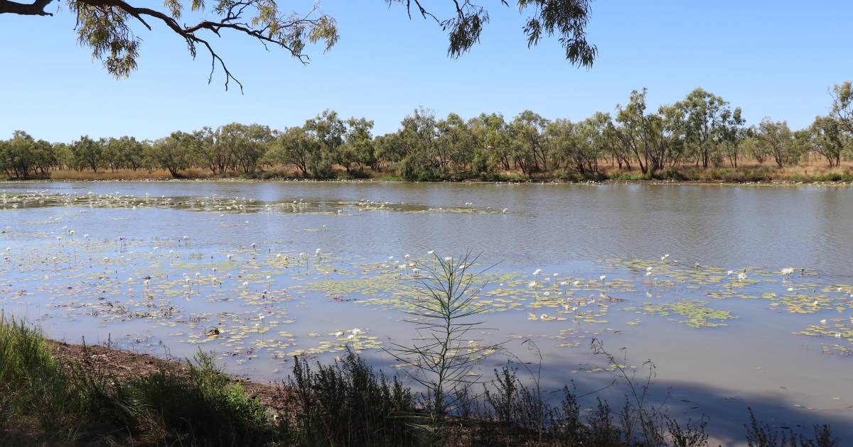 Georgina River closed to campers at Camooweal