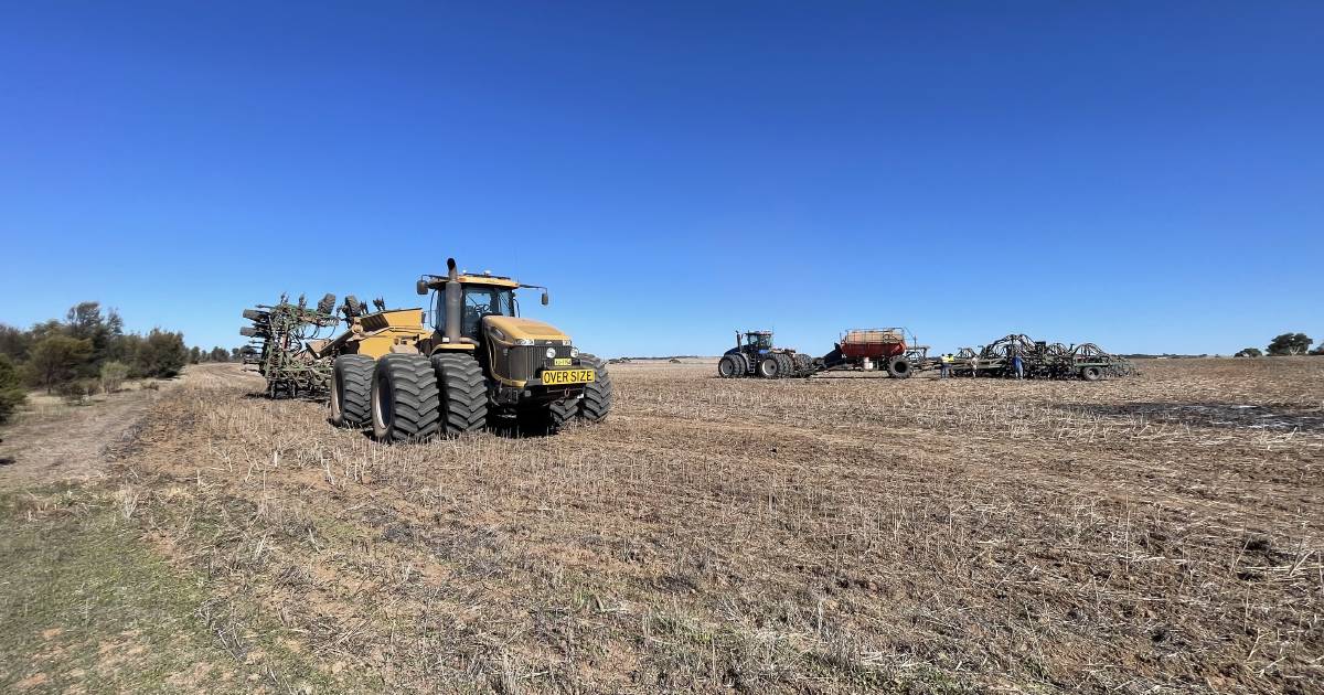 Share yours: Community cropping underway