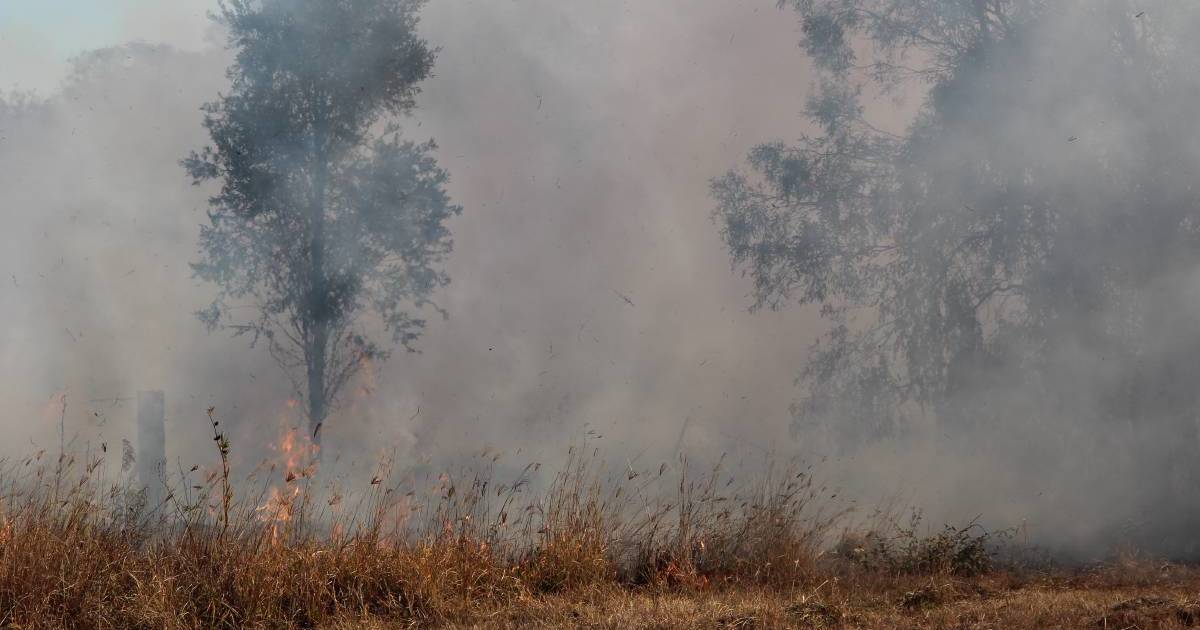 Flinders mayor concerned about fire threat