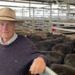 Tighter supply of breeding females supports improved prices