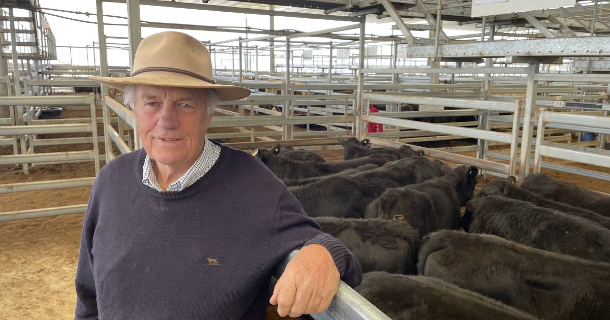 Quality sells at Tamworth store sale | The Land