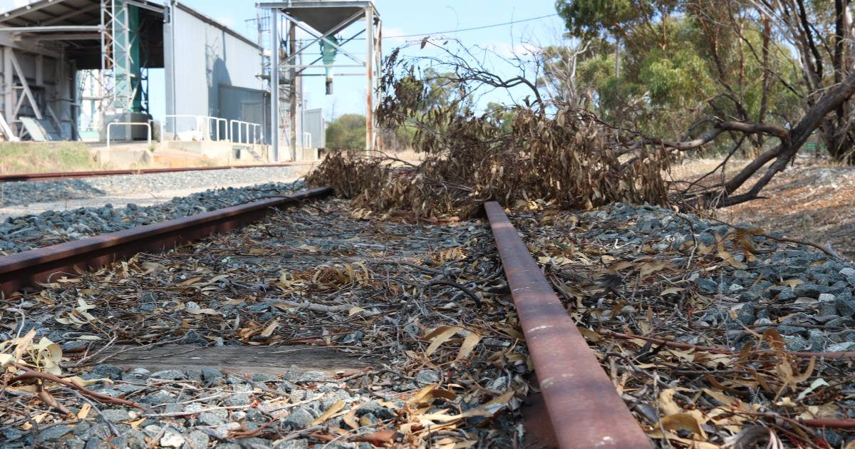 Steve Thomas, WA Liberal Party comments on Tier 3 rail line | Farm Weekly