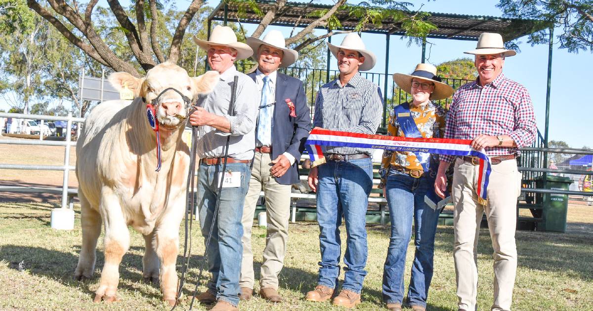 Clermont Show 2023 stud cattle judging results: Charolais bull Moongool Trademark wins supreme stud cattle exhibit | Queensland Country Life