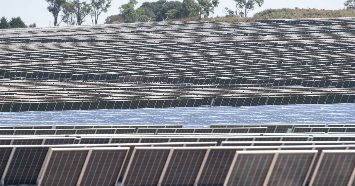 Solar farm's big tick