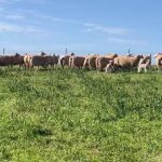 CBH Broomehill rail siding is officially underway, and Brookton is ahead of schedule | Farm Weekly