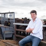 Coban Merino Stud wins Merino breeder’s group ribbon at Charleville | Queensland Country Life