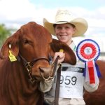 Dalby sale 3 May 2023: Heavy cattle firm