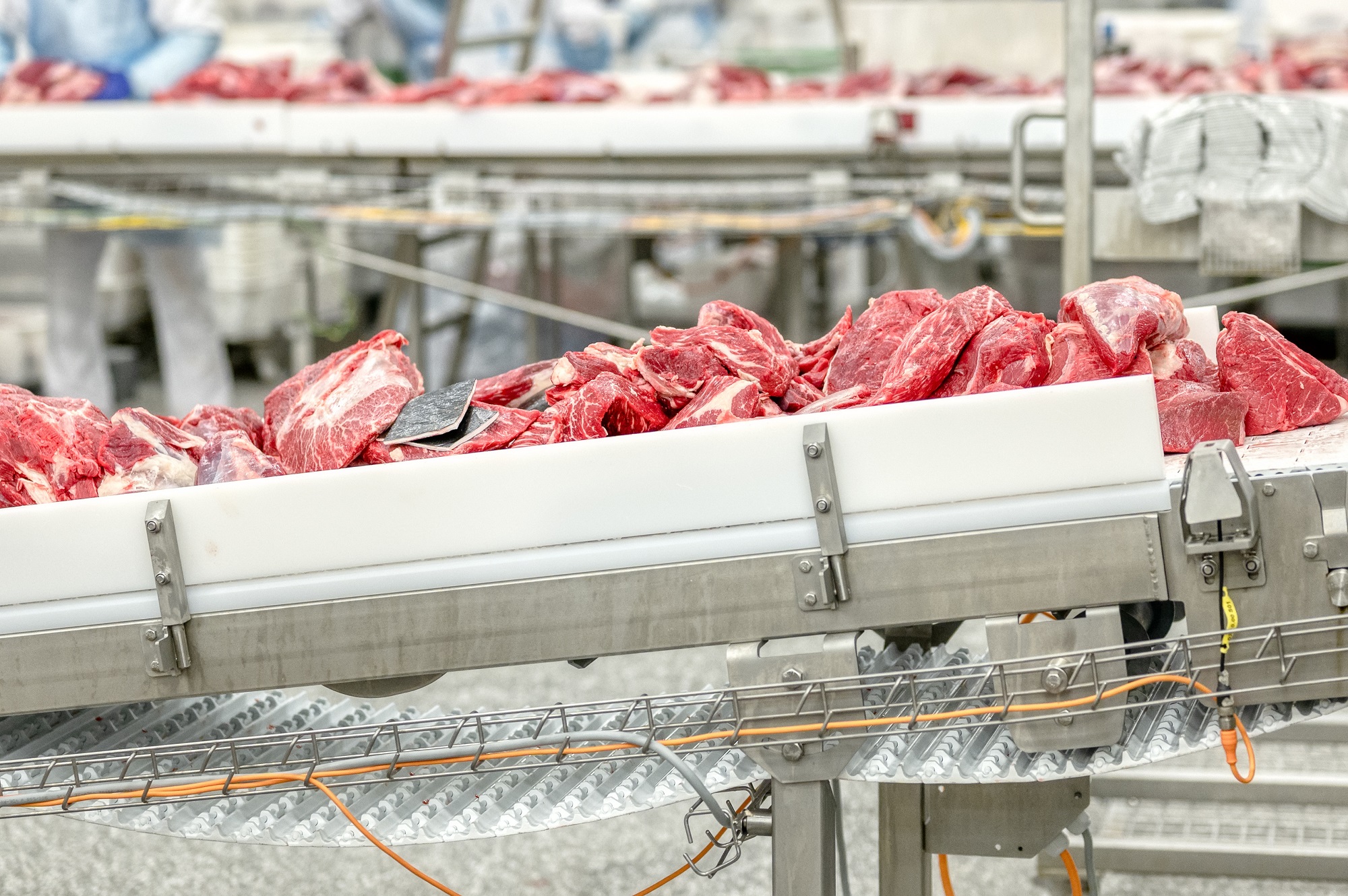 STX Beef Co. buys Missouri Prime Beef Packers