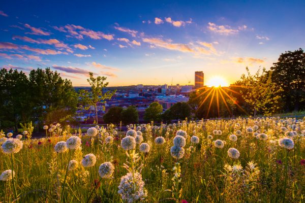 The 15-mile route through Sheffield that’s as invigorating as any walk in the country