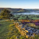 Sheltered valley home to picturesque cattle property | Video