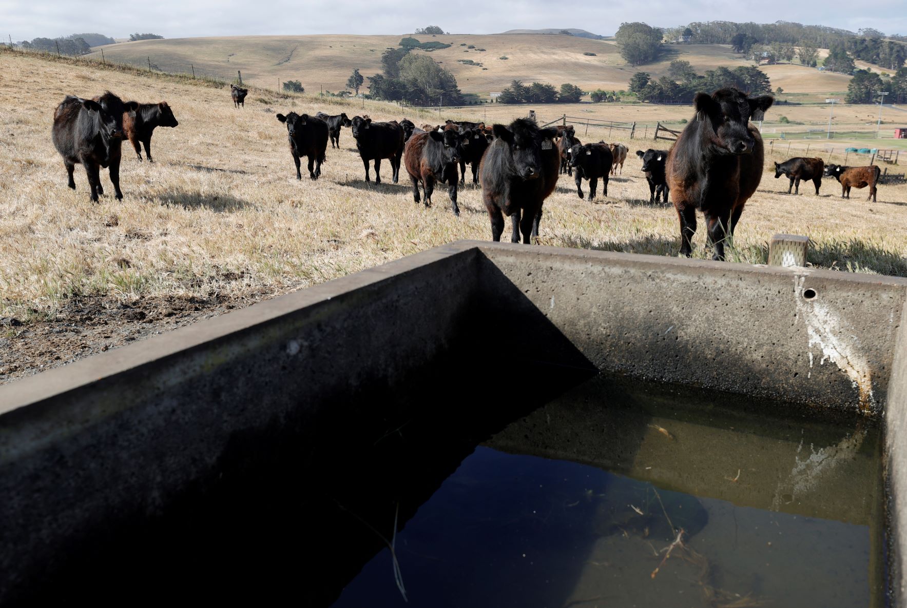 USDA urged to provide drought assistance for farmers and ranchers