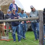 Genetics can improve livestock grazing in the heat