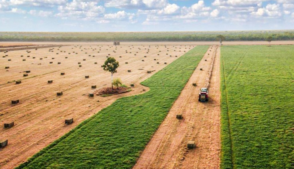 High quality hay becomes hard to find as demand increases